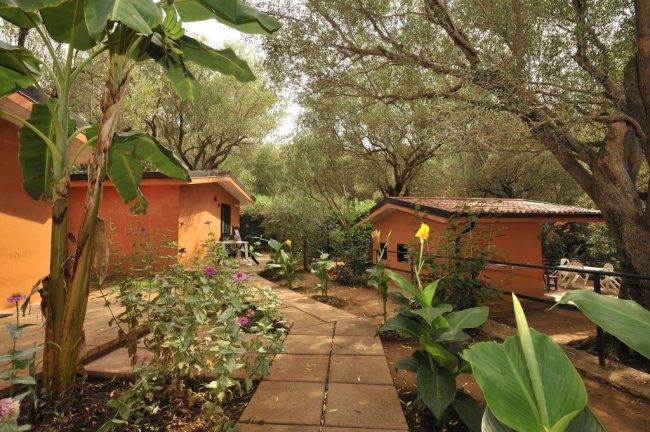 Bungalow arancioni tra piante e alberi su un sentiero lastricato.