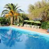 Piscina esterna con sedie a sdraio e ombrelloni, circondata da palme e vegetazione.
