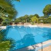 Piscina all'aperto con palme e lettini sotto ombrelloni bianchi.