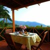 Tavolo apparecchiato su una terrazza con vista su palme e colline.