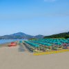 Spiaggia vuota con file ordinate di ombrelloni e lettini verdi, mare calmo sullo sfondo.